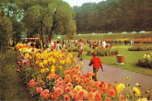 Diese Postkarte aus dem Jahre 1972 lässt noch etwas vom Farbenreichtum der Landesgartenschau in Kommern erahnen. Bild: Histortisches Kreisarchiv Euskirchen