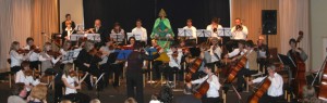 Das Streichorchester der Musikschule Schleiden will „Peter und der Wolf“ darbieten. Foto: Musikschule Schleiden