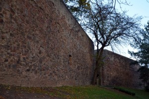 32.000 Euro stellt der Bund für die Sanierung der Euskirchener Stadtmauer zur Verfügung. Bild: Claudia Hoffmann