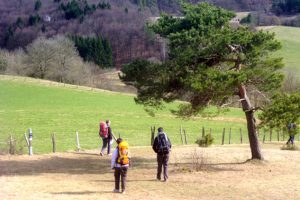 Besucher aus einem Umkreis von 200 Kilometern besuchen verstärkt die attraktive Erlebnisregion Nordeifel mit dem Nationalpark Eifel, um ihren (Kurz-)Urlaub zu verbringen. Bild: Michael Thalken/Eifeler Presse Agentur/epa