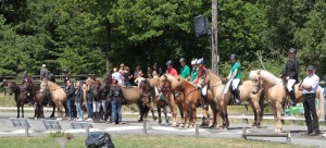 Am Sonntag marschierten die Reiter samt ihrer Pferde zu den Ehrungen an. Bild: Michael Thalken/Eifeler Presse Agentur/epa