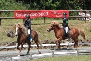 Zwölf Stunden am Tag zeigten die Reiter die unterschiedlichen Gangarten ihrer robusten Kleinpferde. Bild: Michael Thalken/Eifeler Presse Agentur/epa