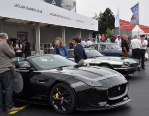 Zum 80. Geburtstag hatte die Nebelmarke Jaguar Fahrzeuge aus acht Jahrzehnten ausgestellt. Foto: Reiner Züll