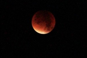 Frühaufsteher konnten heute morgen das seltene Schauspiel eines roten Mondes am Himmel beobachten. Bild: Michael Thalken/Eifeler Presse Agentur/epa