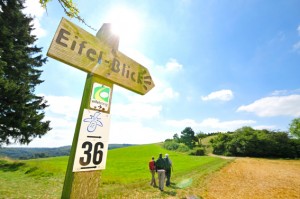 Das Wandern in der Eifel ist ein wichtiger Faktor für den Tourismus. Durch die Förderung soll das Wegenetz weiter optimiert werden. Foto: Nordeifel Tourismus