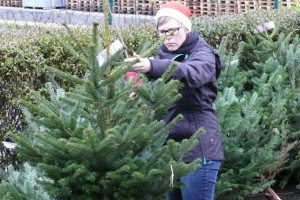 Bei der NEW in Kuchenheim kann man sich einen Weihnachtsbaum aussuchen. Bild: Richard Ody/NEW