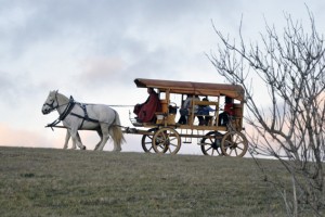Ab Sonntag kann man wieder mit dem Römischen Reisewagen durch den Archäologischen Landschaftspark in Nettersheim reisen. Bild: Gemeinde Nettersheim