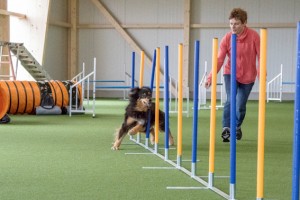 Die neue Hundesporthalle in Schmidtheim verfügt über eine professionelle Agility-Ausstattung. Bild: Martina Wald