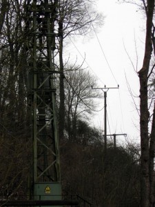 In Kronenburg demontiert die ene bisherige Freileitungen wie hier in einem Laubwald und ersetzt sie durch Erdkabel. Bild: ene-Unternehmensgruppe