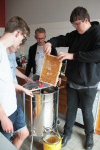 Die ersten Rahmen mit den Honigwaben werden in die Schleuder gefüllt. Bild: Michael Thalken/Eifeler Presse Agentur/epa