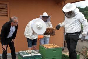 Behutsam wird der Bienenstock geöffnet, um die mit Honig gefüllten Wabenrahmen zu entnehmen. Bild: Michael Thalken/Eifeler Presse Agentur/epa