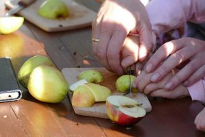 Der Apfel ist die Lieblingsfrucht der Deutschen: Statistisch gesehen 17 Kilogramm Äpfel isst jeder Bundesbürger pro Jahr. Foto: Hans-Theo Gerhards/LVR