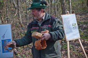 Oberforstrat Ingo Esser vom WaldPädagogikZentrum Eifel erklärt, wie man etwa Weidenrinde nutzen kann. Foto: Hans-Theo Gerhards/LVR