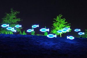 Zahlreiche Licht- und Videoinstallationen wollen den Seepark Zülpich in magisches Licht tauchen. Bild: Seepark Zülpich