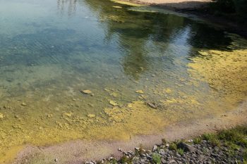 Das Ufer des Zülpicher Wassersportsees soll weiter bepflanzt werden. Das Land NRW will diese Maßnahme zur optischen und ökologischen Aufwertung mit 57.800 Euro fördern.  Foto: Alexander Zink – faszinatour GmbH