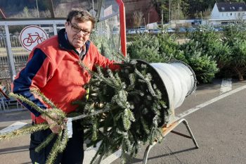 Ekkehard Scholz verkauft seit vier Jahren ehrenamtlich die Weihnachtsbäume der Hilfsgruppe Eifel. Foto: Reiner Züll