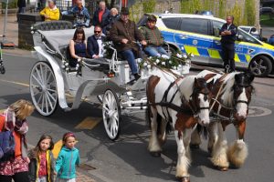Zwei Tinker-Pferde zogen die weiße Kutsche, in der das Königspaar zum Maiball gefahren wurde. Foto: Reiner Züll