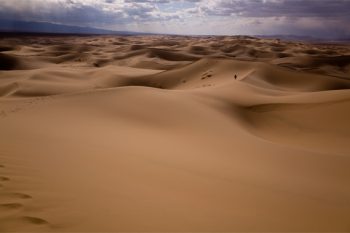 Khongoryn Els in der Wüste Gobi. Bild: Michael Giefer
