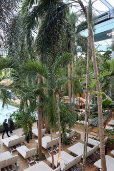 Über 500 Palmen machen den besonderen Reiz der Thermen & Badewelt Euskirchen aus. Bild: Michael Thalken/Eifeler Presse Agentur/epa