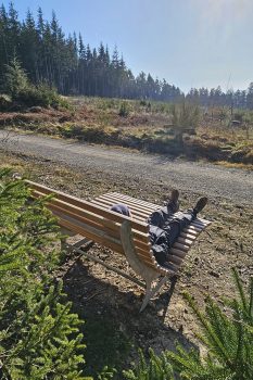 Auf der Eifelschleife „Kaller Sagen“ lädt eine von der Holzmanufaktur NE.W gefertigte Wellenbank auf der Kindshardt zum Verweilen ein, und vielleicht begegnen einem hier im Halbschlaf auch die sagenhaften drei Juffern. Bild: Michael Thalken/Eifeler Presse Agentur/epa