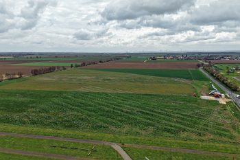 Im Ortsteil Binsfeld soll auf einem zehn Hektar großen Gelände der Biodiversitäts-Solarpark Bubenheim entstehen. Bild: F&S solar