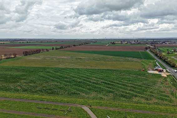 Im Ortsteil Binsfeld soll auf einem zehn Hektar großen Gelände der Biodiversitäts-Solarpark Bubenheim entstehen. Bild: F&S solar