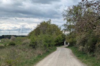 Das sog. „Jen-Engk“ (das jenseitige Dorfende) mit dem noch erhaltenen Heiligenhäuschen, wo links und rechts heute nur noch Bäume und Sträucher den Weg säumen, standen früher Häuser, darunter auch das Elternhaus von Gisela Meys Mutter. Bild: Privat