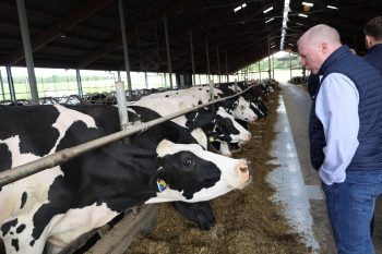 Die Gäste durften die Milchproduzentinnen auch aus der Nähe begrüßen. Bild: Michael Thalken/Eifeler Presse Agentur/epa