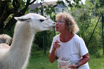 Ute Bieder, die Inhaberin des Lampakalands, hat ein besonders inniges Verhältnis zu ihren Tieren. Bild: Michael Thalken/Eifeler Presse Agentur/epa