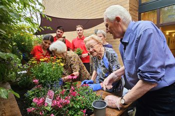 Gemeinsam pflanzten Azubis und Bewohner:innen die bunte Blumenpracht in das Hochbeet. Bild: Sven Stampe/KSK Euskirchen
