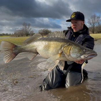 Diesen Riesen-Zander fing Oliver Schäfer im Rhein bei Koblenz. Foto: Oliver Schäfer
