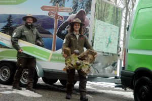 Wurzeln, Holzschweine, Plakate und Ausstellungstafeln. Ranger Dieter Stollenwerk (links) und Thomas Kroll packen für die ITB. BIld: Nationalparkverwaltung Eifel