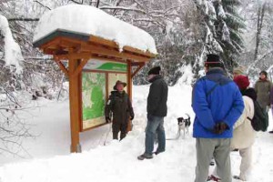 Auch zwischen den Jahren können Besucher mit einem Ranger die winterliche Landschaft durchstreifen. Bild: Nationalparkverwaltung Eifel